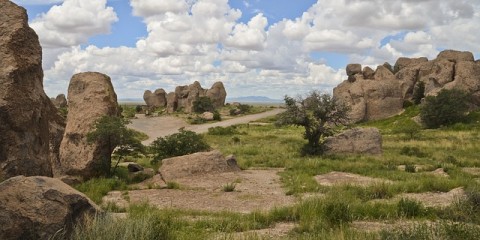 New mexico gambling conference