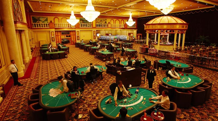 Casino land nz 53