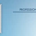 NASPL ’18 Professional Development Seminar