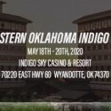 2020 NOISE Northeastern Oklahoma Indigo Sky Expo