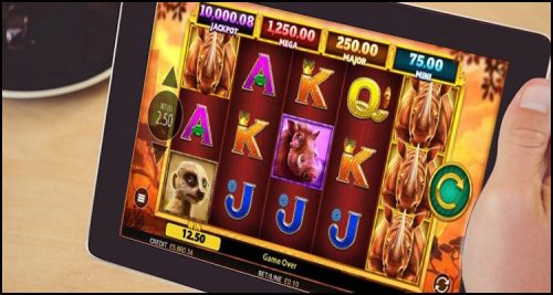 Blueprint Gaming Limited releases new Rhino Rampage video slot