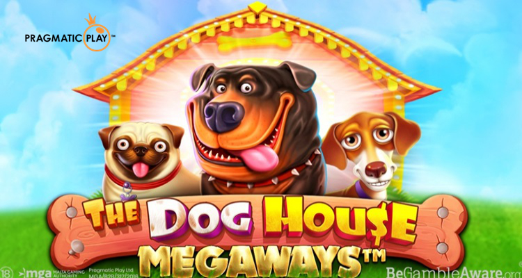 dog house slot