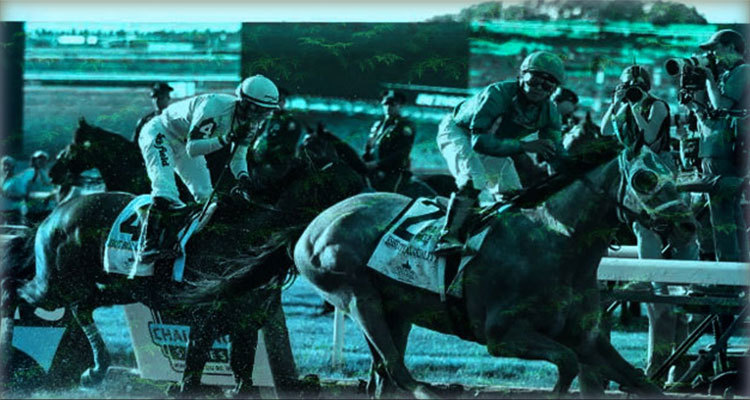 Fantasy horse racing betting online automated forex trading uk