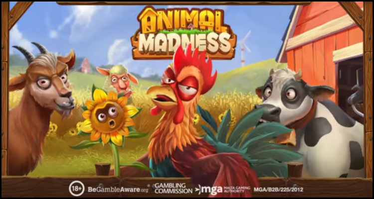 Animal Madness (video slot) launched by Play'n GO
