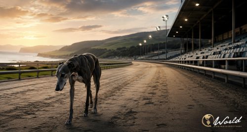New Zealand Ends Commercial Greyhound Racing After 78 Years